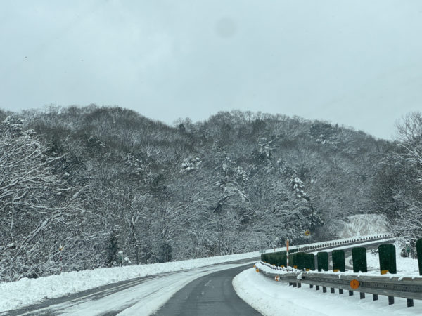 愛犬と雪の宿